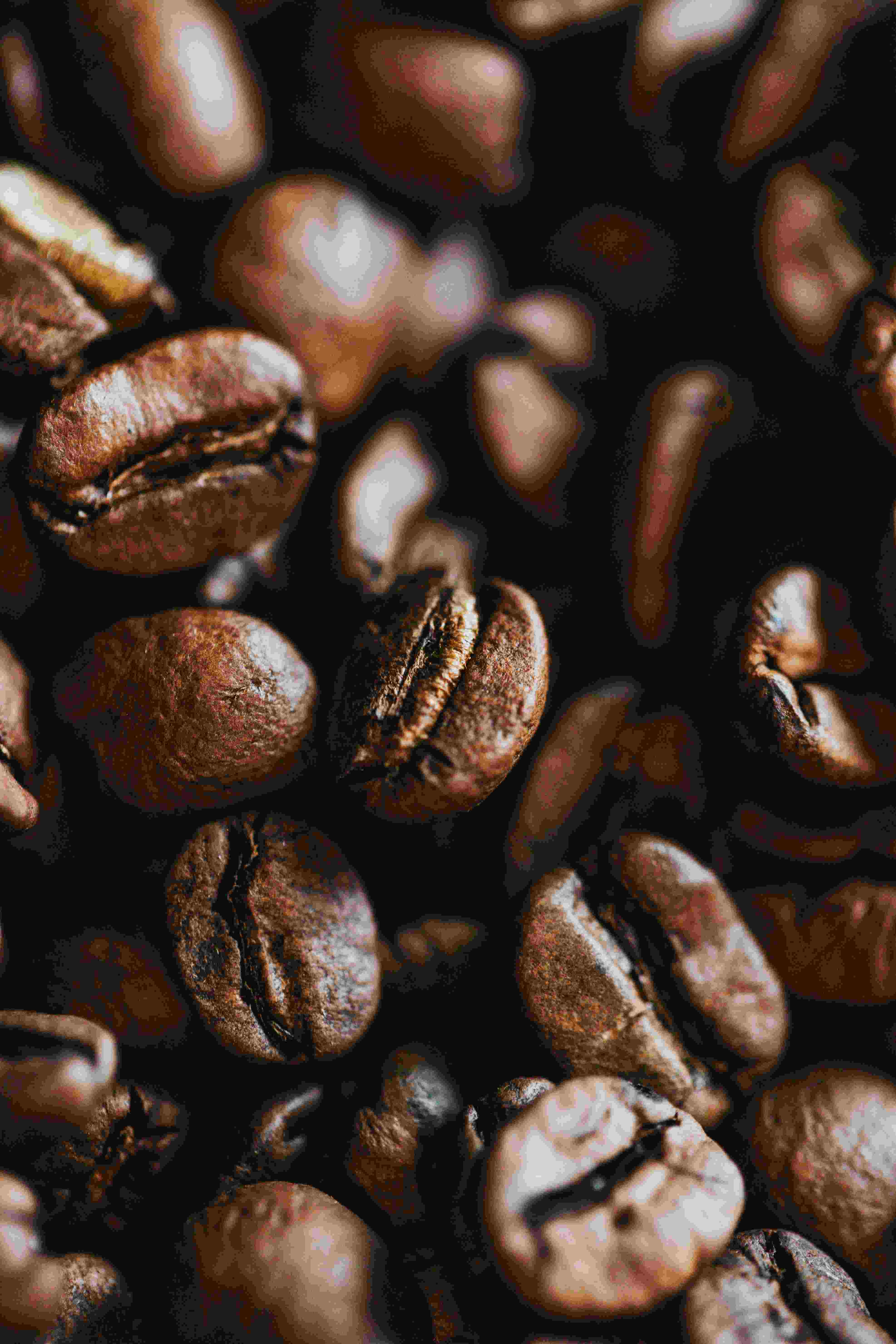 Roasted coffee beans